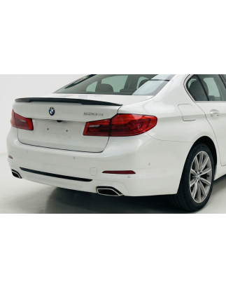 Spoiler posteriore per BMW Serie 5 G30 (Cod. CW-CWSPT-IA0002UP)