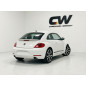 Spoiler lunotto posteriore per Volkswagen Beetle 2011-2019 (Cod. CW-CWSPUG-IA001PB)