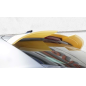 Spoiler posteriore per Seat Ibiza MK4 (Cod. CW-CWSPR-SA0003UP)