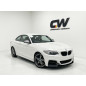 Diffusori minigonne per BMW Serie 2 F22 (Cod. CW-CWNS01-SL0007PB)