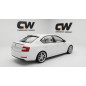 Accessorio estetico per Skoda Octavia MK3 (Cod. CW-CWSPG/PV3001PB)