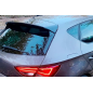Accessorio estetico per Seat Leon 2012 - 2016 (Cod. CW-CWRWSS-IA001PB)