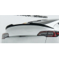 Spoiler posteriore per Tesla Model Y 2020 - 2024 (Cod. CW-CWSP20-0060)
