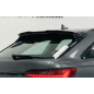 Spoiler posteriore per Audi A6 C8 FL (Cod. CW-CWSP20.026)