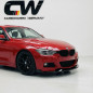 Splitter anteriore per BMW Serie 3 F30 M Tech (Cod. CW-CWFS2-BW-F30-MT-V1-A1)