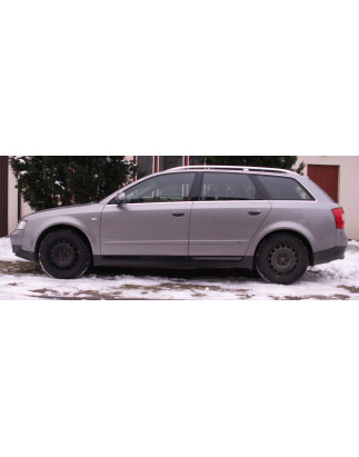 Modanature delle porte Audi A4 B6 2001-2004 (Cod. TF-BFT00125)