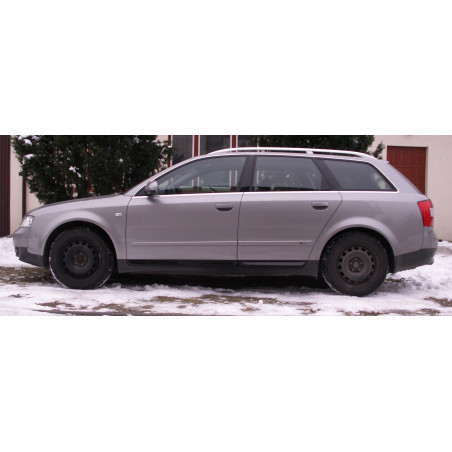 Modanature delle porte Audi A4 B6 2001-2004 (Cod. TF-BFT00125)