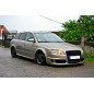 Modanature delle porte Audi A4 B7 2004-2007 (Cod. TF-BFT00129)