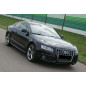 Modanature delle porte Look S-line Audi A5 LIFT Sportback 2011-2016 (Cod. TF-BFT00198)