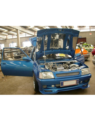Griglia centrale (calandra) PEUGEOT 205  (Cod. TF-BFT00807)
