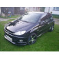 Paraurti anteriore spoiler paraurti largo PEUGEOT 206  (Cod. TF-BFT00811)