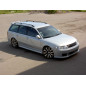 Sovrapposizioni sulle modanature delle porte VOLKSWAGEN Passat B5 3B 1996-2010 (Cod. TF-BFT01105)