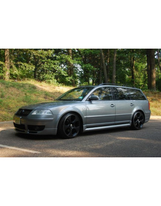 Sovrapposizioni sulle modanature delle porte VOLKSWAGEN Passat B5 FL 3BG 2010-2005 (Cod. TF-BFT01115