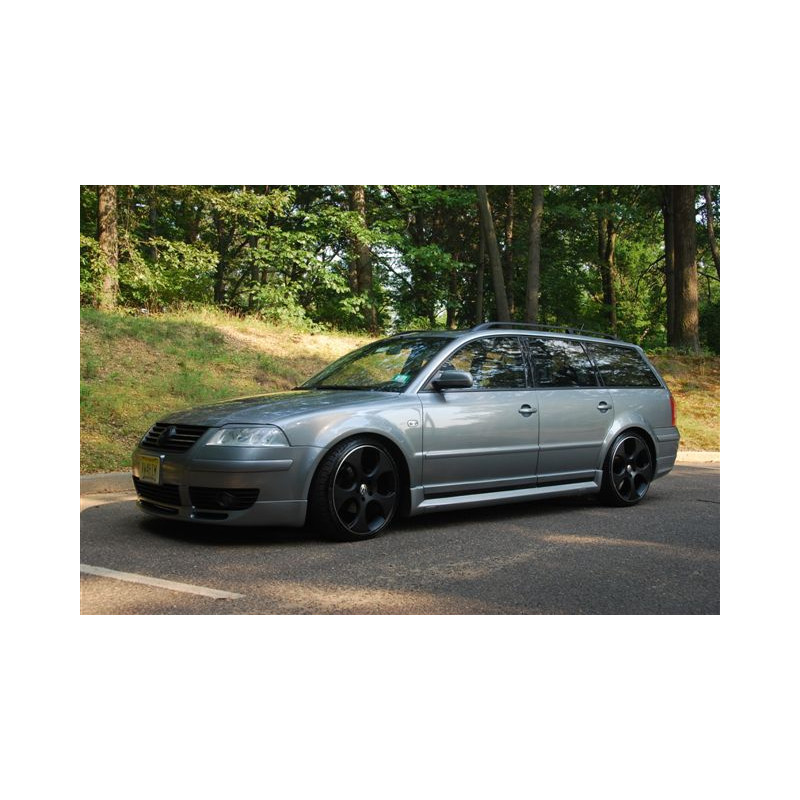 Sovrapposizioni sulle modanature delle porte VOLKSWAGEN Passat B5 FL 3BG 2010-2005 (Cod. TF-BFT01115
