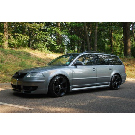 Sovrapposizioni sulle modanature delle porte VOLKSWAGEN Passat B5 FL 3BG 2010-2005 (Cod. TF-BFT01115