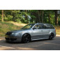 Sovrapposizioni sulle modanature delle porte VOLKSWAGEN Passat B5 FL 3BG 2010-2005 (Cod. TF-BFT01115