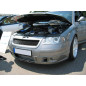 Griglia centrale (calandra) VOLKSWAGEN Passat B5 FL 3BG 2010-2005 (Cod. TF-BFT01116)