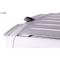 Spoiler tetto RDX per MERCEDES Sprinter H1 (2006-present) & VW Crafter H1 (2006-2017) Rear Wing  (Co