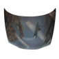Cofano Carbonio BMW E46 Look M3 Look E92 (Cod. E-TCB6144)
