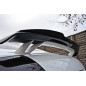 Spoiler Cap Audi TT RS 8J (Cod. M-AU-TT-2-RS-CAP1G) Spoiler Cap Audi TT RS 8J (Cod. M-AU-TT-2-RS-CAP1G)