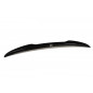 Spoiler Cap Audi TT RS 8J (Cod. M-AU-TT-2-RS-CAP1G) Spoiler Cap Audi TT RS 8J (Cod. M-AU-TT-2-RS-CAP1G)