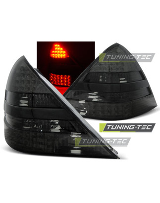 Fanali Posteriori LED per Mercedes-Benz R170 Slk 04/1996-2004 (Cod. TT-LDME54)