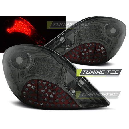 Fanali Posteriori LED per Peugeot 207 3D/5D 05/2006-06/2009 (Cod. TT-LDPE17)