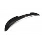 SPOILER CAP BMW Z4 E86 coupé (FACELIFT) (Cod. M-BM-Z4-86-C-CAP1G)