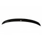 Spoiler Cap Citroen DS5  (Cod. M-CI-DS5-1/1F-CAP1G)