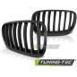 Griglia Frontale Nero per BMW X5 E70 X6 E71 Dal 2008 (Cod. TT-GRBM33)