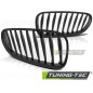 Griglia Frontale Nero per BMW Z4 E85 Lci 2006-2008 (Cod. TT-GRBM37)