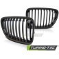 Griglia Frontale Nero per BMW X1 E84 10/2009-08/2012 (Cod. TT-GRBM60)