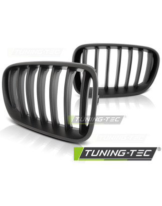 Griglia Frontale Nero per BMW X3 F25 2010-07/2014 (Cod. TT-GRBM66)