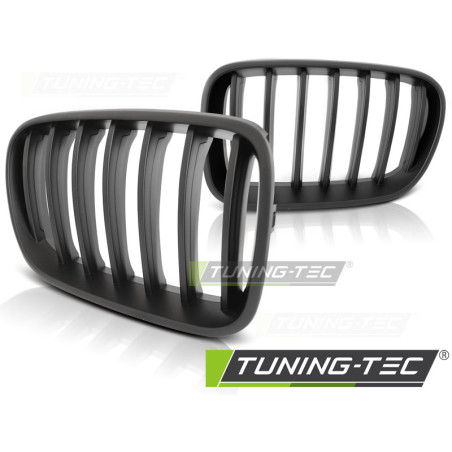Griglia Frontale Nero per BMW X3 F25 2010-07/2014 (Cod. TT-GRBM66)