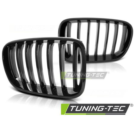 Griglia Frontale Nero Lucido Nero per BMW X3 F25 2010-07/2014 (Cod. TT-GRBM67)