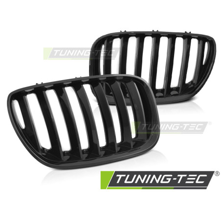 Griglia Frontale Nero Lucido Nero per BMW X5 E53 Lci 2004-2006 (Cod. TT-GRBMB8)