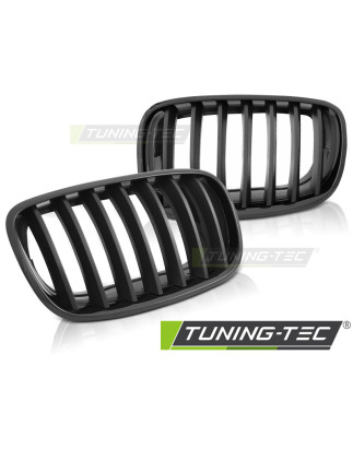 Griglia Frontale Nero Opaco Nero per BMW X5 E70 X6 E71 Dal 2008 (Cod. TT-GRBMC1)