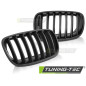 Griglia Frontale Nero Opaco Nero per BMW X5 E70 X6 E71 Dal 2008 (Cod. TT-GRBMC1)