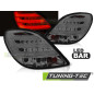 Fanali Posteriori LED per Peugeot 207 3D/5D 2006-2009 (Cod. TT-LDPE24)