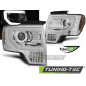 Fanali Posteriori Cromato per Ford F150 Mk12 2008-2014 (Cod. TT-LPFO87)