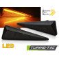 Indicatori Laterali LED per Renault Megane Mk2/scenic (Cod. TT-KBRE10)