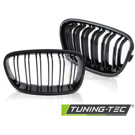 Griglia Frontale Nero Lucido Nero per BMW F20/F21 2011-2014 (Cod. TT-GRBMD5)