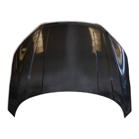 Cofano Carbonio Audi TT 8J 2006-2014 (Cod. E-TCA0161)