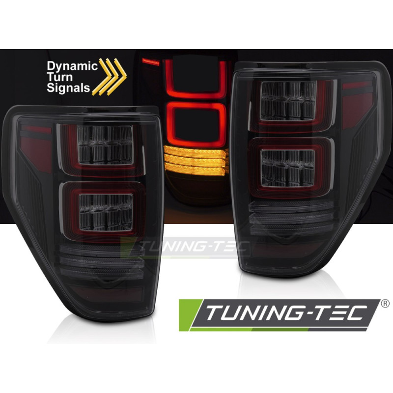 Fanali Posteriori LED per Ford F150 Mk12 2008-2014 (Cod. TT-LDFO94)