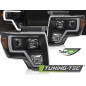Fanali Posteriori Nero per Ford F150 Mk12 2008-2014 (Cod. TT-LPFOB2)
