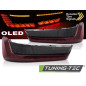 Fanali Posteriori LED per BMW G20 2019-2022 (Cod. TT-LDBML3)