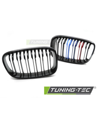 Griglia Frontale Doppia Barra Nero per BMW F20/F21 2011-2014 (Cod. TT-GRBMG0)