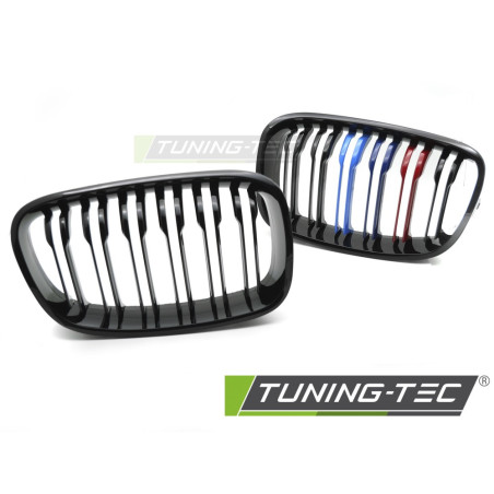 Griglia Frontale Doppia Barra Nero per BMW F20/F21 2011-2014 (Cod. TT-GRBMG0)