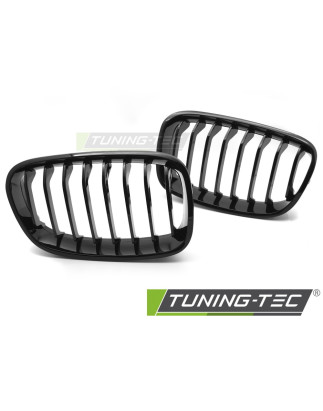 Griglia Frontale Nero Lucido Nero per BMW F20/F21 2011-2014 (Cod. TT-GRBMG1)