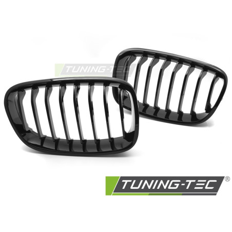 Griglia Frontale Nero Lucido Nero per BMW F20/F21 2011-2014 (Cod. TT-GRBMG1)